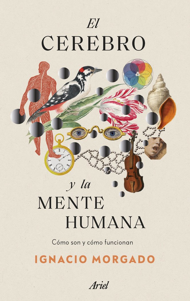 EL CEREBRO Y LA MENTE HUMANA - 9788434435988 Imagen principal del producto