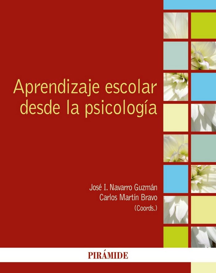 APRENDIZAJE ESCOLAR DESDE LA PSICOLOGIA | NAVARRO GUZMAN, JOSE IGNACIO/MARTIN BRAV | PIRAMIDE | 9788436838947 Imagen principal del producto