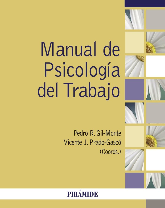 MANUAL DE PSICOLOGIA DEL TRABAJO | GIL-MONTE, PEDRO R,/PRADO-GASCO, VICENTE | PIRAMIDE | 9788436845167 Imagen principal del producto