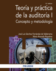 TEORIA Y PRACTICA DE LA AUDITORIA I - 9788436845259