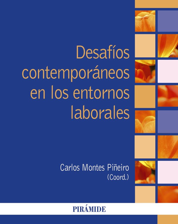 DESAFIOS CONTEMPORANEOS EN LOS ENTORNOS LABORALES | MONTES PIÑEIRO, CARLOS | PIRAMIDE | 9788436849776