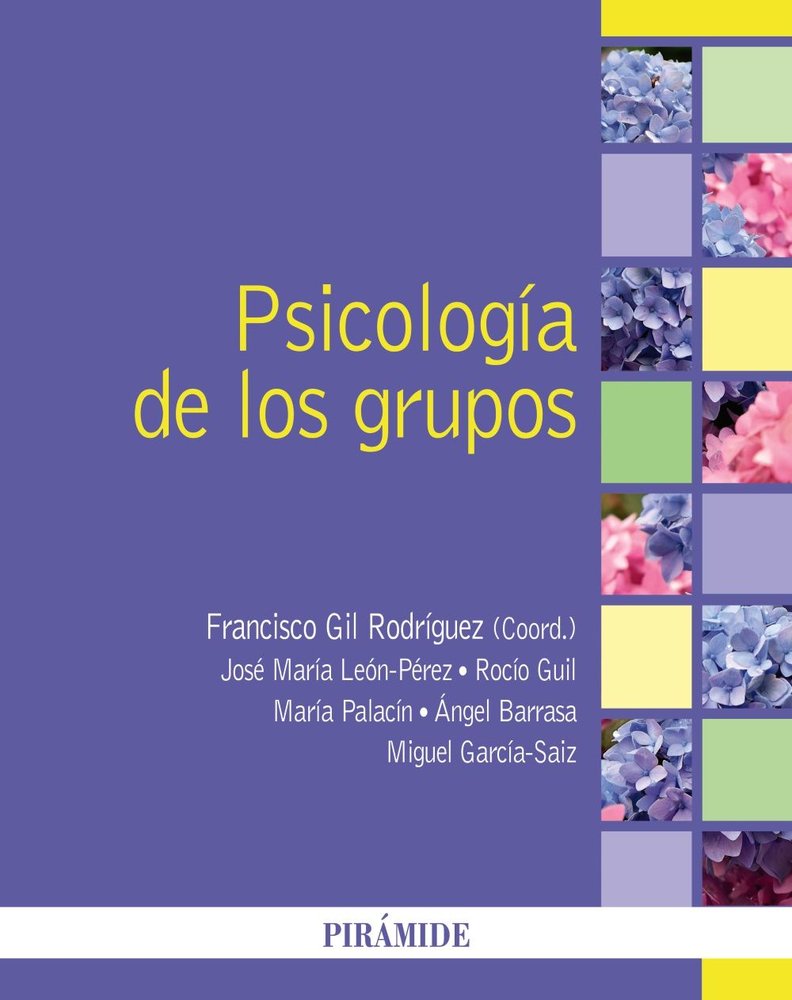PSICOLOGIA DE LOS GRUPOS | GIL RODRIGUEZ, FRANCISCO/LEON PEREZ, JOS | PIRAMIDE | 9788436850925 Imagen principal del producto