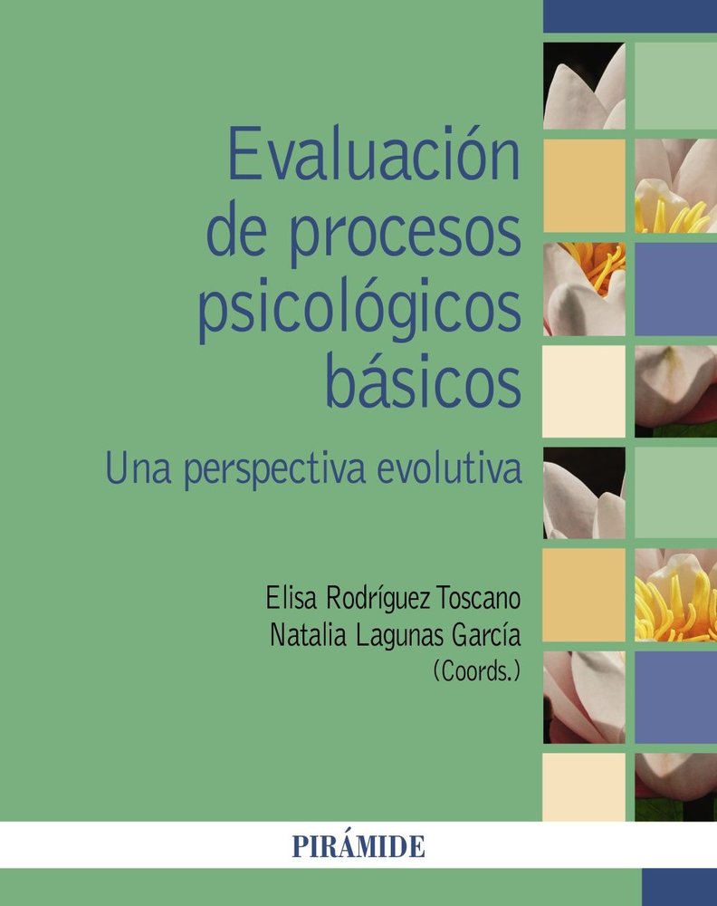 EVALUACION DE PROCESOS PSICOLOGICOS BASICOS | LAGUNAS GARCIA, NATALIA/RODRIGUEZ TOSCAN | PIRAMIDE | 9788436851069 Imagen principal del producto