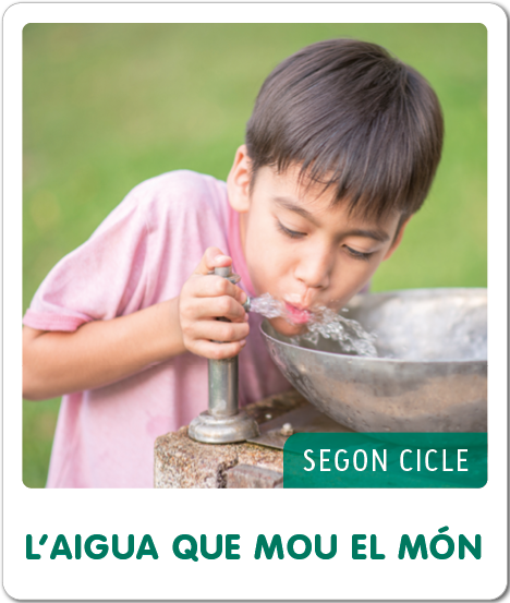 Fem-ho per projectes. L'aigua que mou el món (2n. Cicle). Gonzalez Perez, Nuria (Text) 9788441232556 Imagen principal del producto