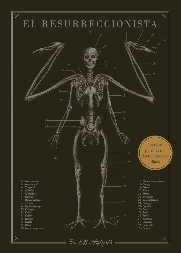 EL RESURRECCIONISTA | Hudspeth, E, B, | 9788445019078 (Minotauro) Imagen principal del producto