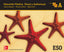Educación Plástica, Visual y Audiovisual. Mosaico A. Aa. Vv. (McGraw-Hill Interamericana de España S.L.) 9788448607791