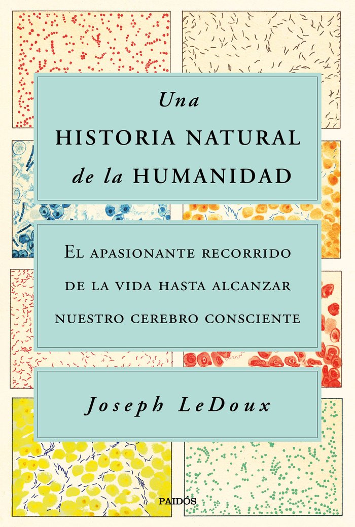 UNA HISTORIA NATURAL DE LA HUMANIDAD - 9788449338274 Imagen principal del producto