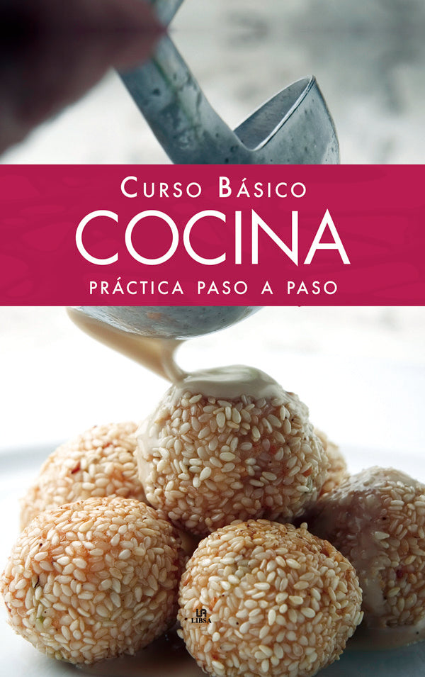CURSO BASICO COCINA PRACTICA PASO A PASO - 9788466217330 Imagen principal del producto