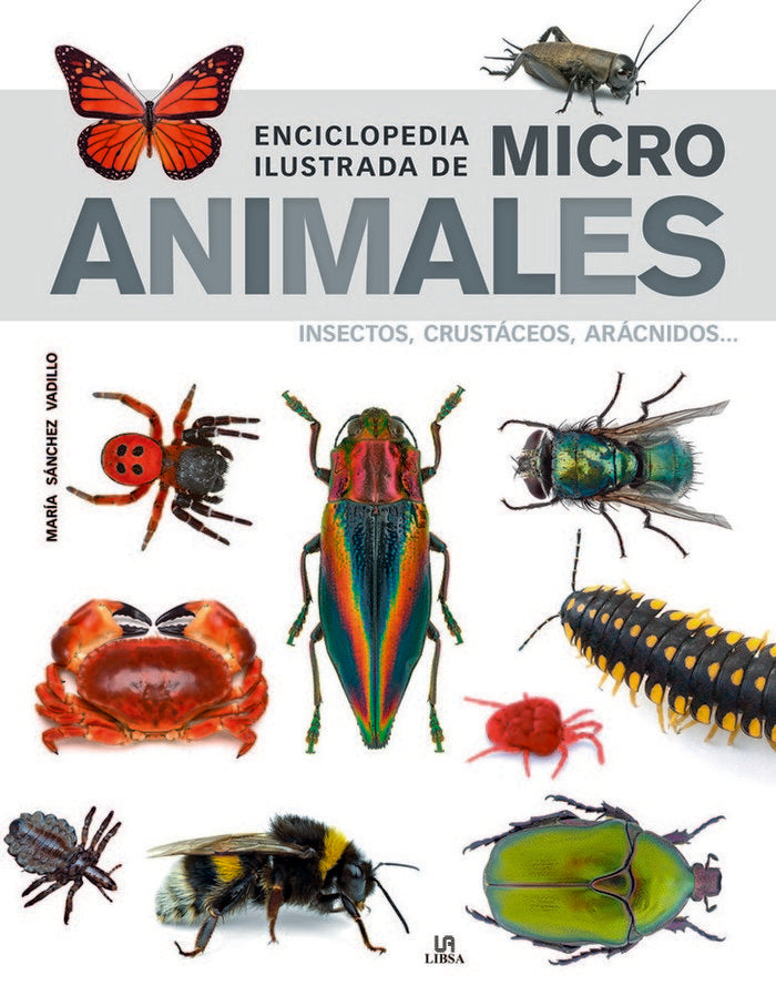 ENCICLOPEDIA ILUSTRADA DE MICRO ANIMALES - 9788466239011 Imagen principal del producto