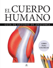 EL CUERPO HUMANO - 9788466243940