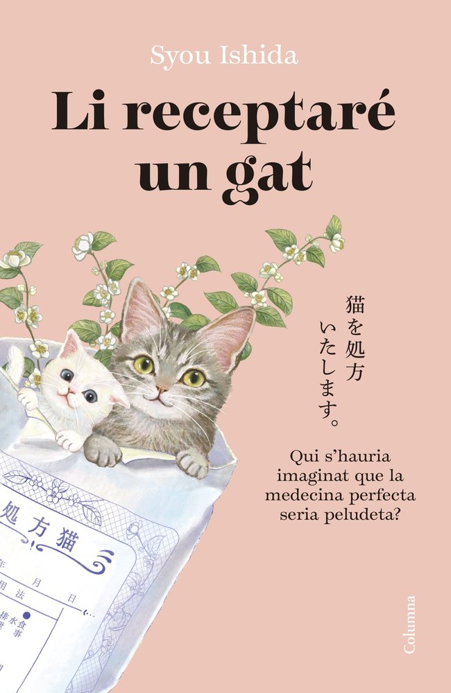 LI RECEPTARE UN GAT - 9788466433242 Imagen principal del producto