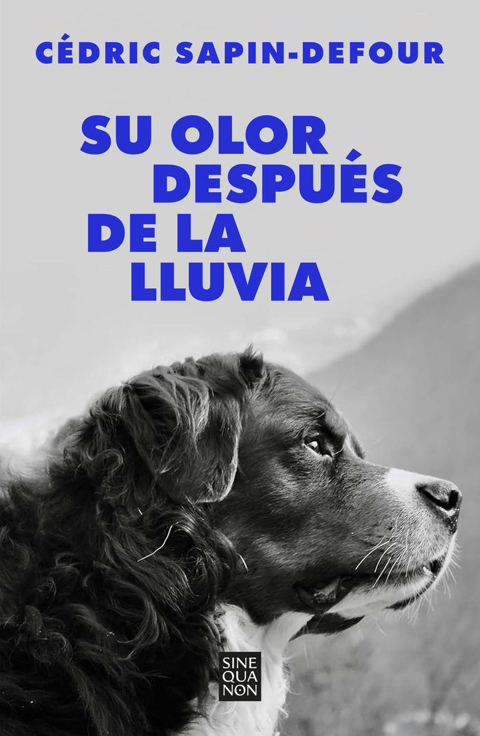 SU OLOR DESPUES DE LA LLUVIA - 9788466678766