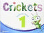 CRICKETS 1 3 AÑOS ST PACK | Varios Autores | 9788466824453 (Richmond Santillana)
