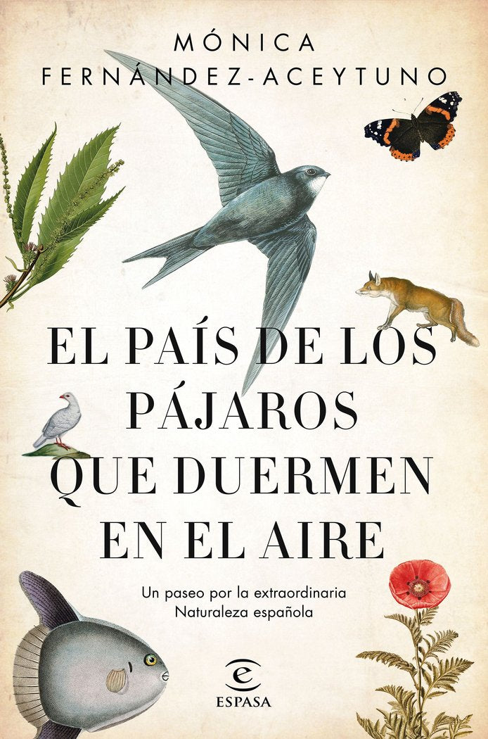 PAIS DE LOS PAJAROS QUE DUERMEN EN EL AIREEL - 9788467051469 Imagen principal del producto