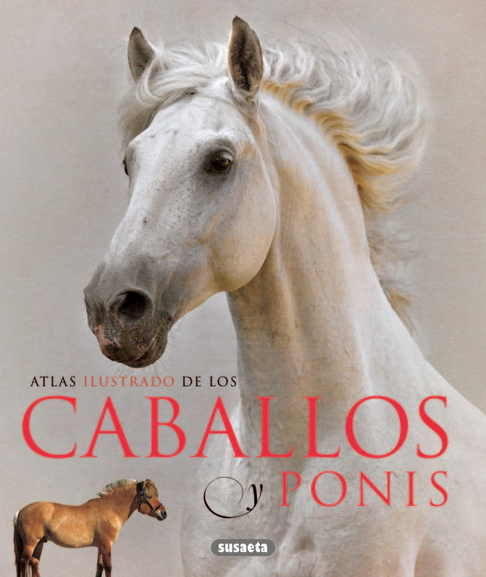 ATLAS ILUSTRADO DE CABALLOS Y PONIS - 9788467713053 Imagen principal del producto