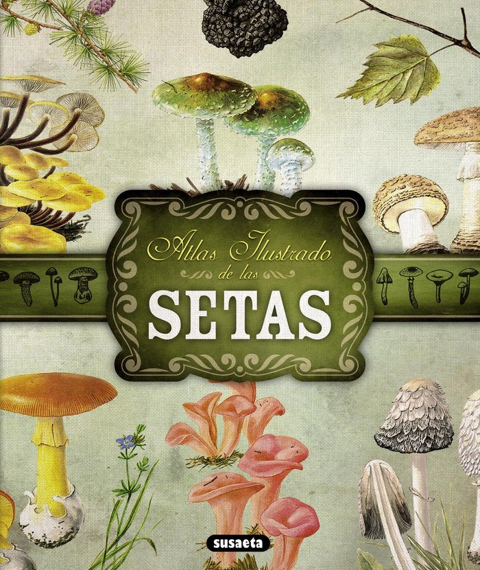 ATLAS ILUSTRADO DE SETAS - 9788467722871 Imagen principal del producto