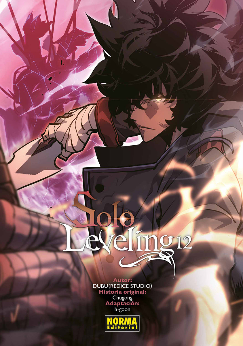 SOLO LEVELING 12 Imagen principal del producto