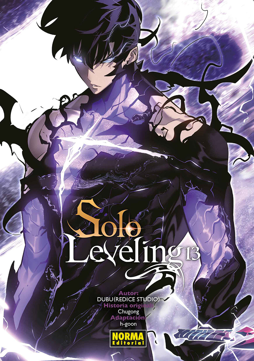 SOLO LEVELING 13 Imagen principal del producto
