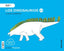 CUANTO SABEMOS 3,0 1 DINOSARURIOS 3AÑOS 19 | Varios Autores | 9788468049762 (Santillana)