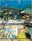 Ciencias Naturaleza 1º ESO MEC Natura 11 VICCN31ESO (Vicens Vives) - 9788468201160