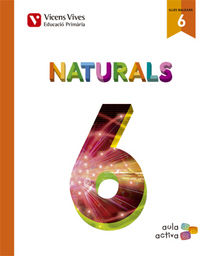 Ciencies Naturals 6º EP Baleares 15 Aula Activa (Vicens Vives) - 9788468228464