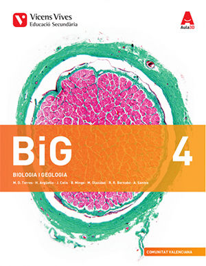 Biología Geología 4º ESO Valenciano +dossier Aula 3D 17 (Vicens Vives) - 9788468250304