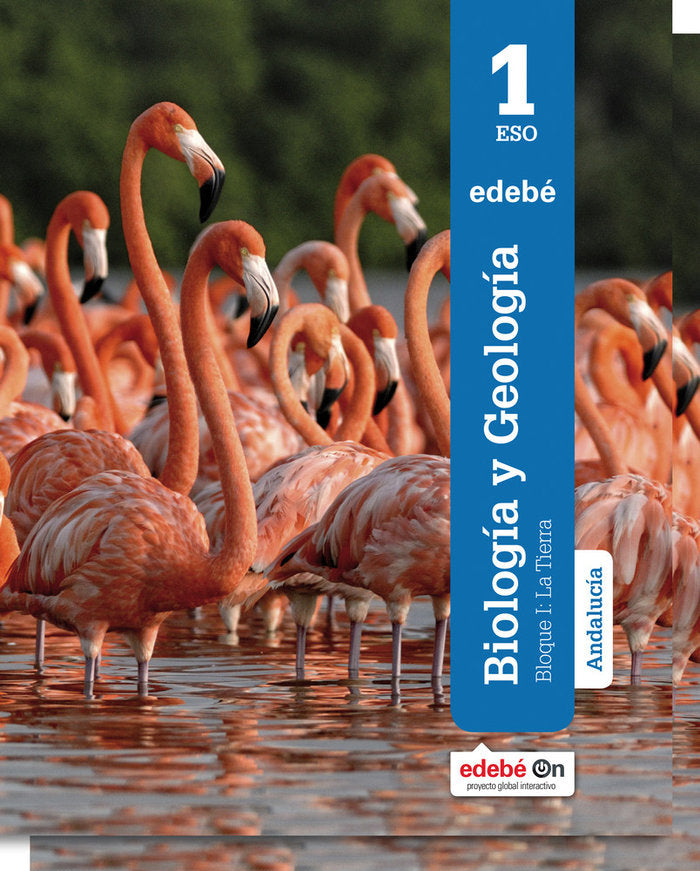 Biología Geología 1º ESO Andalucía 16 (Edebe) - 9788468329444