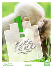 Biología y Geología 1. | Varios autores | 9788469875056 (ANAYA TEXTO)