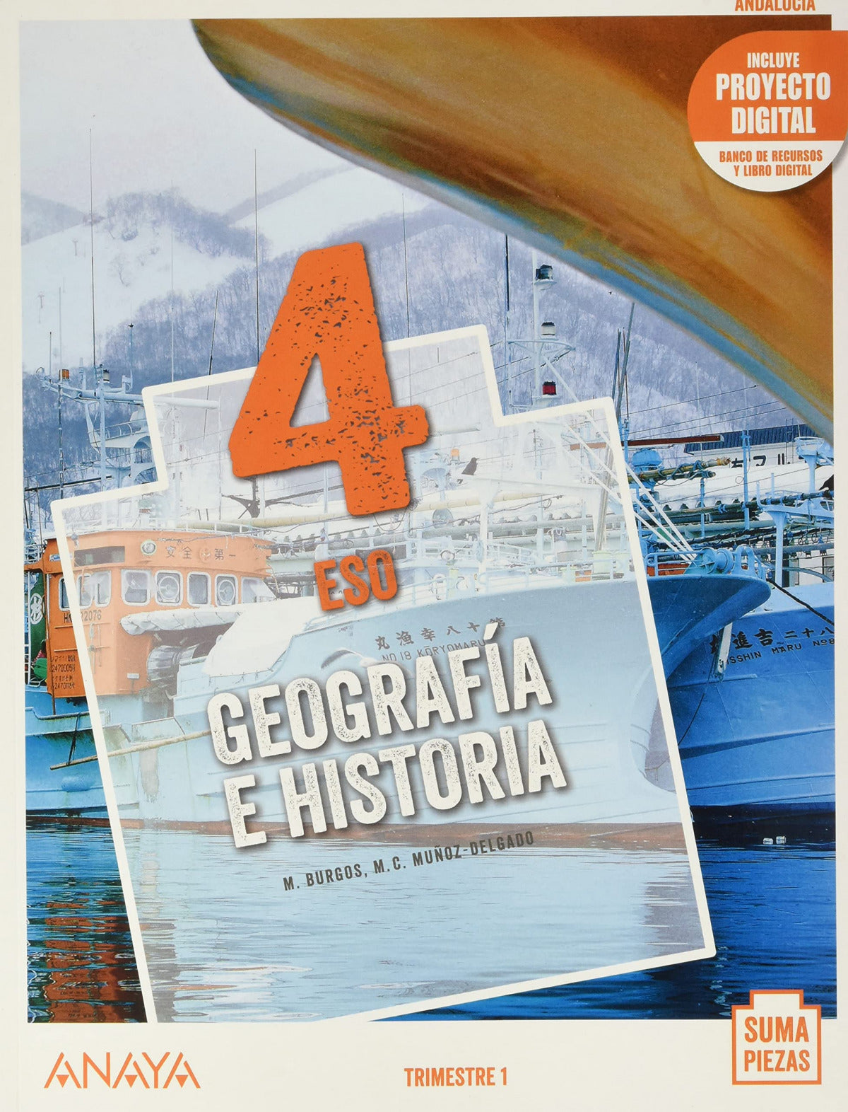 Geografía e Historia 4. Trimestres + Dual focus. | Varios autores | 9788469880937 (ANAYA TEXTO) Imagen principal del producto