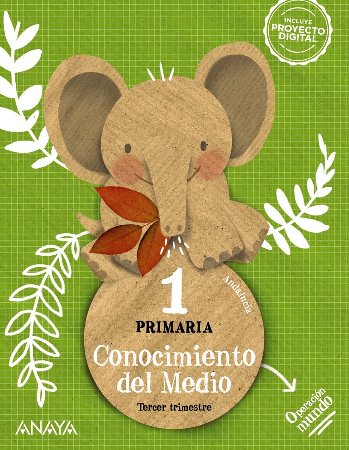 CONOCIMIENTO MEDIO 1oEP ANDALUCIA CUADRICULA 23 | AA,VV | 9788469895450 (Anaya Texto)