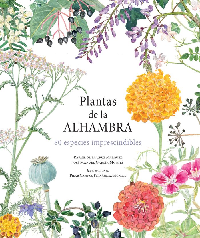 PLANTAS DE LA ALHAMBRA - 9788471691675 Imagen principal del producto