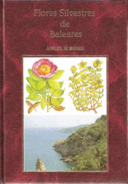 9788472070738 Imagen secundaria del producto