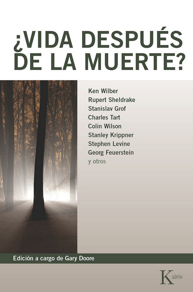 VIDA DESPUES DE LA MUERTE I Wilber I Kairos I 9788472452619 Imagen principal del producto