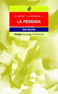 PERDIDA AFECTIVA - 9788475099095 Imagen principal del producto