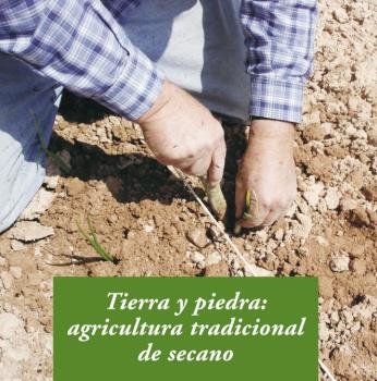 TIERRA Y PIEDRA - 9788476288955 Imagen principal del producto