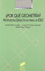 Por Que Geometria? (Sintesis Editorial) - 9788477384458