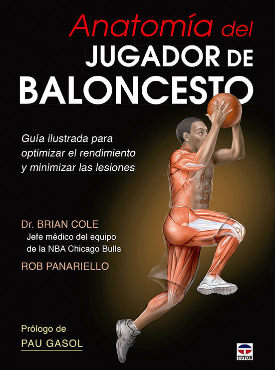 ANATOMIA DEL JUGADOR DE BALONCESTO - 9788479029999 Imagen principal del producto