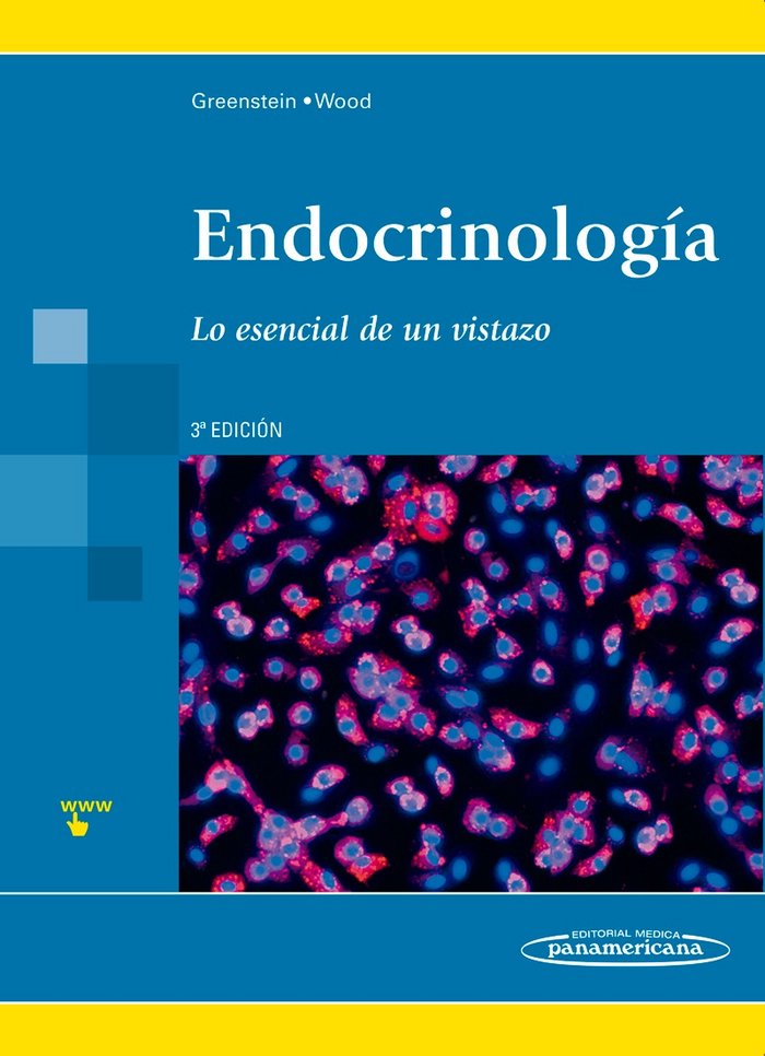 ENDOCRINOLOGIA - 9788479033941 Imagen principal del producto