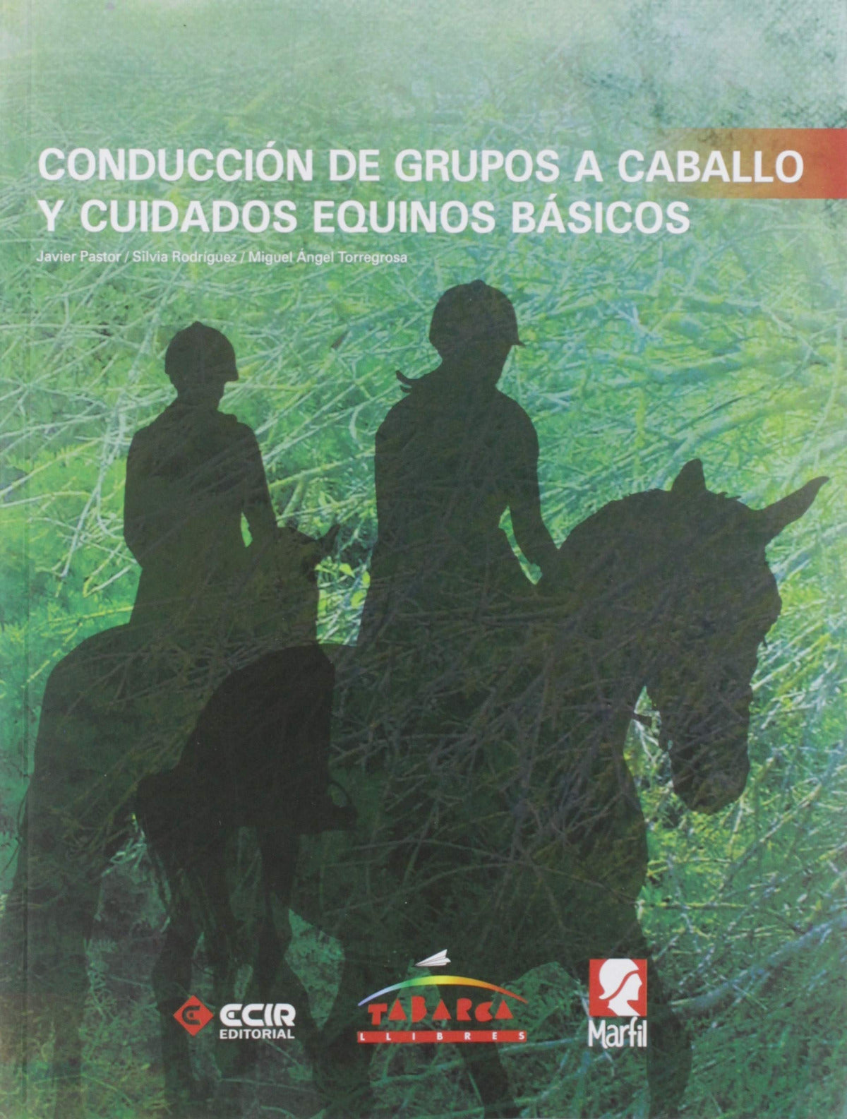 ✅ CONDUCCIÓN GRUPOS A CABALLO Y CUIDADOS EQUINOS BASICOS - 9788480254892 Imagen principal del producto