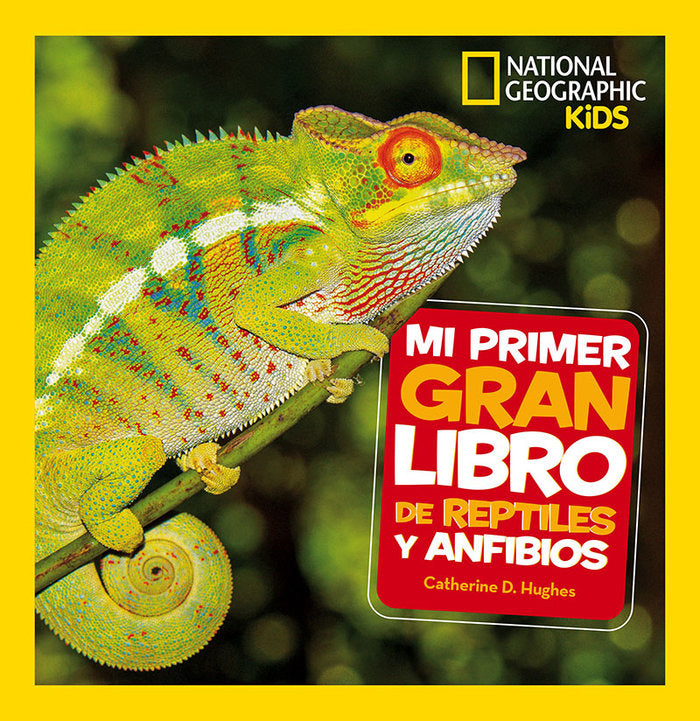 MI PRIMER GRAN LIBRO DE REPTILES Y ANFIBIOS - 9788482987958 Imagen principal del producto