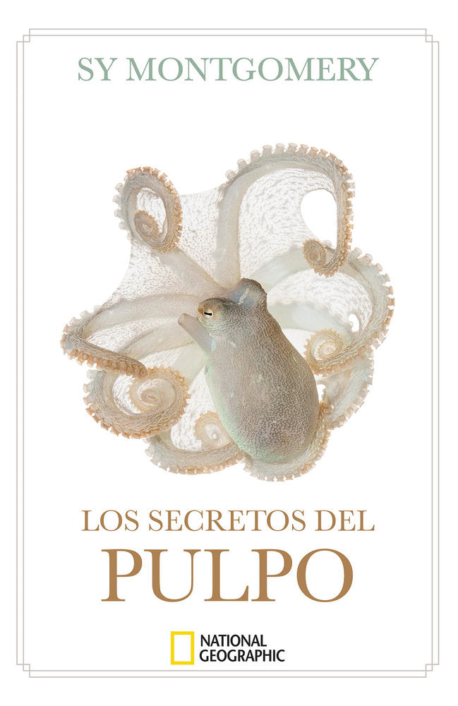 LOS SECRETOS DEL PULPO - 9788482988764 Imagen principal del producto