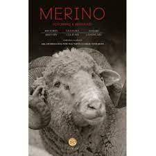 MERINO CHURRAS MERINAS - 9788483215579 Imagen principal del producto