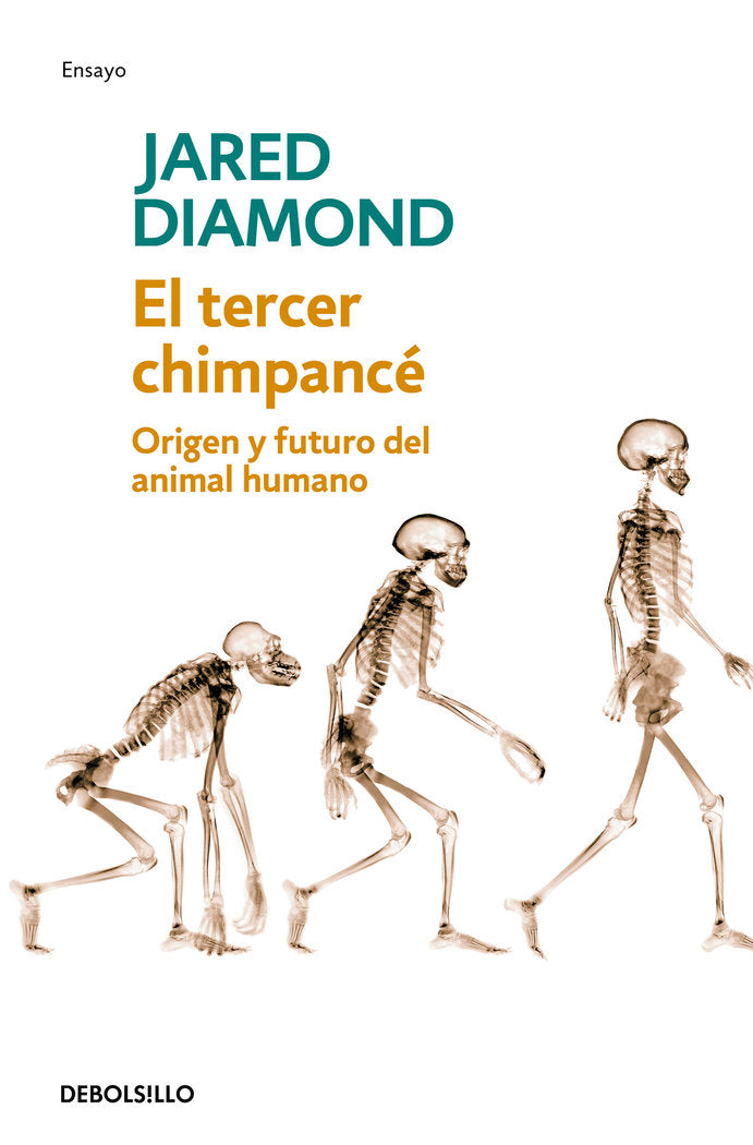 TERCER CHIMPANCE DBD - 9788483467497 Imagen principal del producto