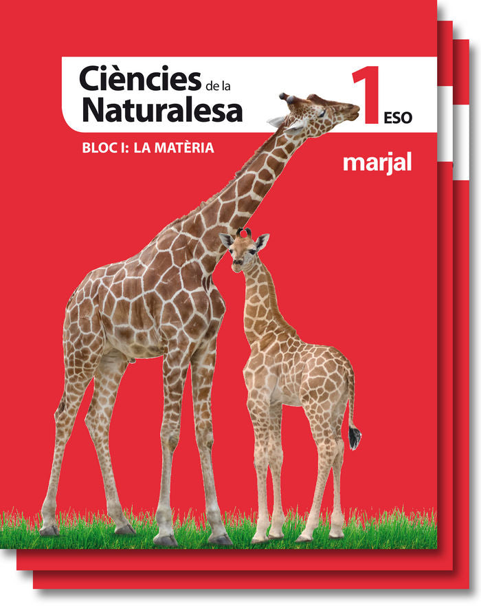 Ciencies Naturalesa 1º ESO C, Valenciana 11 (Marjal Edebe) - 9788483482483