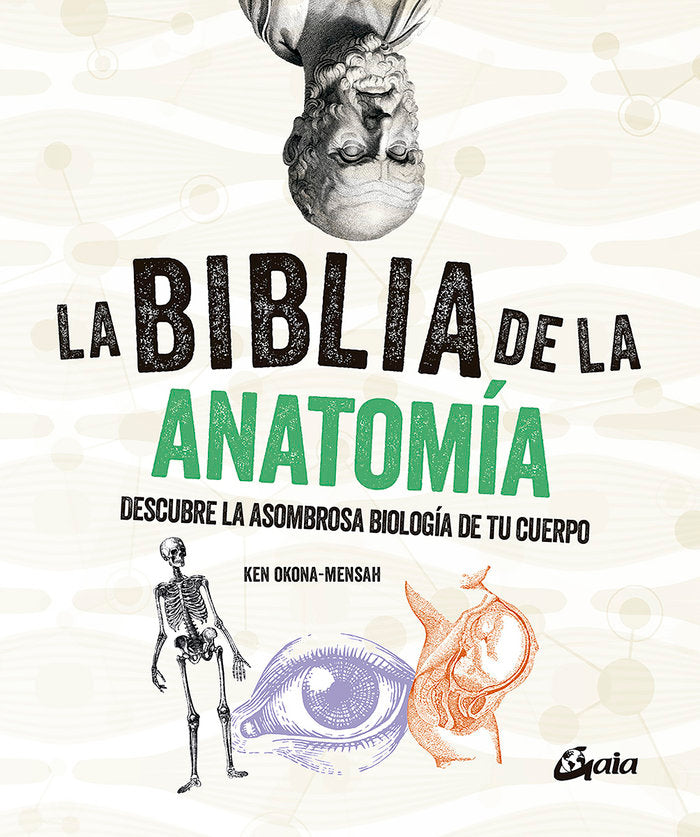 LA BIBLIA DE LA ANATOMIA - 9788484459521 Imagen principal del producto