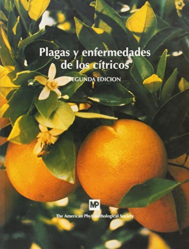 PLAGAS Y ENFERMEDADES DE LOS CITRICOS - 9788484760276 Imagen principal del producto