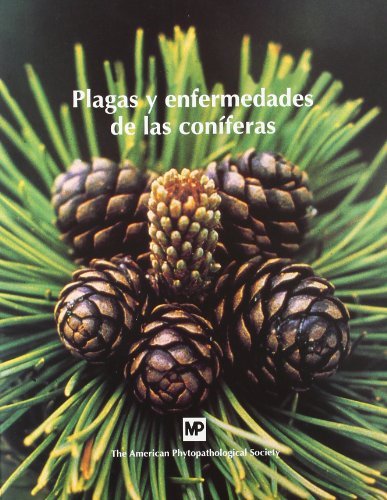 PLAGAS Y ENFERMEDADES DE LAS CONIFERAS MUNDIPRENSA - 9788484760672