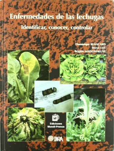 ENFERMEDADES DE LAS LECHUGAS IDENTIFICAR CONOCER Y CONTROL - 9788484761884 Imagen principal del producto