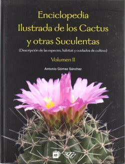 9788484762782 Imagen secundaria del producto