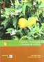 CITRICOS VARIEDADE Y TECNICAS DE CULTIVO - 9788484762973